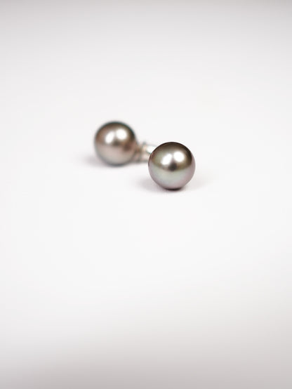 Aomame Tahitian Pearl Stud Earrings